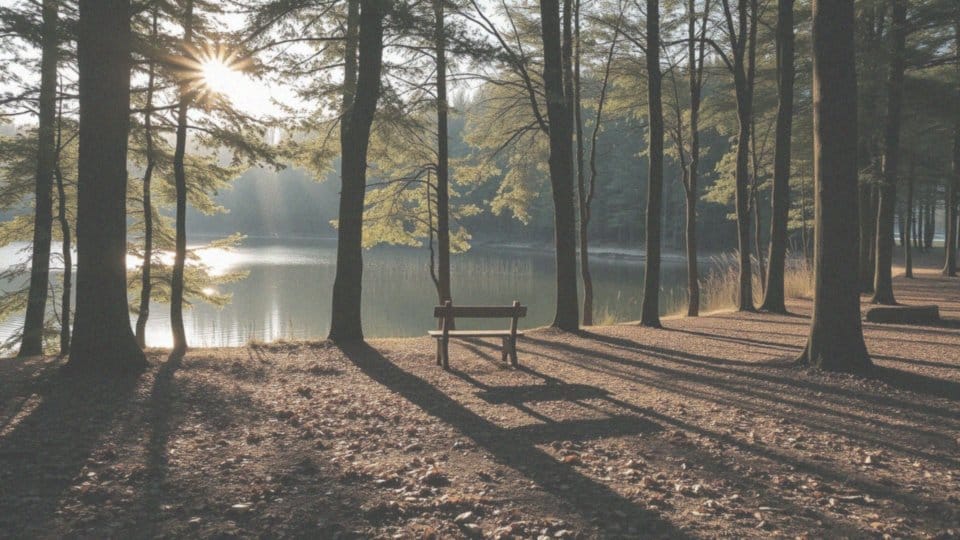 Jak kontakt z naturą działa na naszą psychikę i stres?