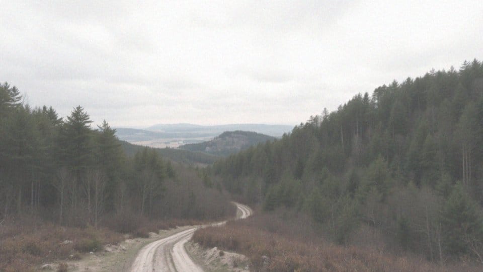 Jakie ograniczenia się wiążą z obszarami Natura 2000?