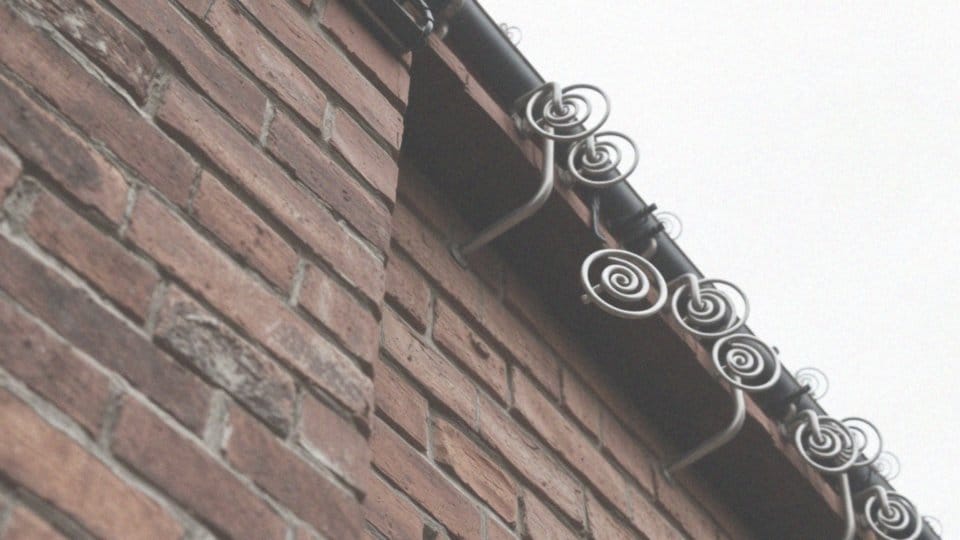 Jakie metalowe spirale zapobiegają obecności nietoperzy?