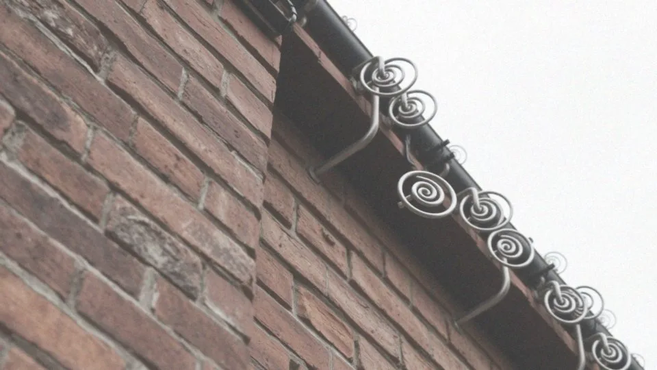 Jakie metalowe spirale zapobiegają obecności nietoperzy?