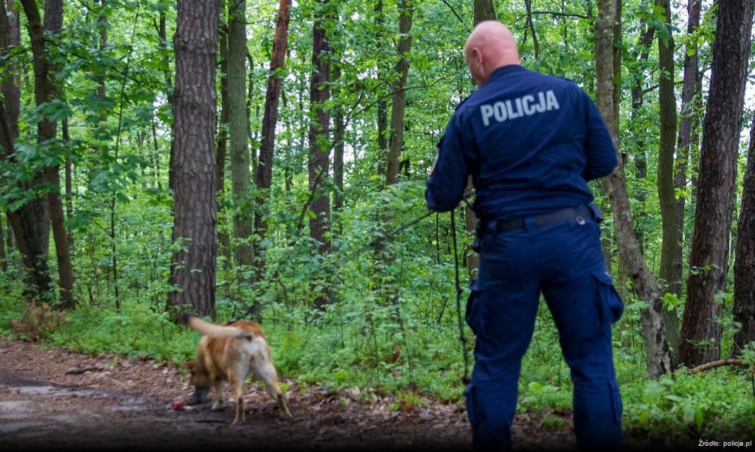 Szamotulscy kryminalni zatrzymali włamywaczy do myjni samochodowych