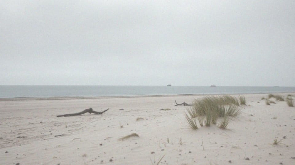 Średnie zasolenie Bałtyku – klucz do zrozumienia jego ekosystemu