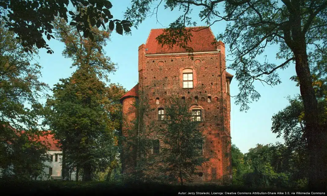 Ogłoszenie o publicznym wglądzie do projektu planu zagospodarowania przestrzennego w Gąsawach