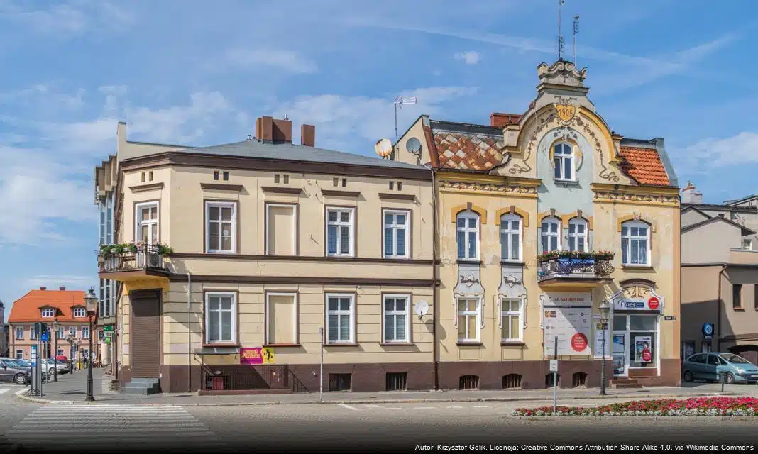 Powołanie Komisji Konkursowej ds. Zadań Pożytku Publicznego w Szamotułach